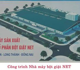 Công ty cổ phần bột giặt NET